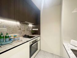 Tembusu Grand (D15), Condominium #573679781